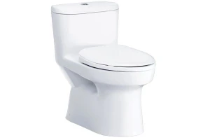 Bàn cầu 1 khối Cotto C1015 nắp đóng êm