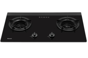 Bếp gas âm Rinnai RVB-2I(AB)