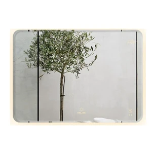 Gương led chữ nhật GLS M35R61