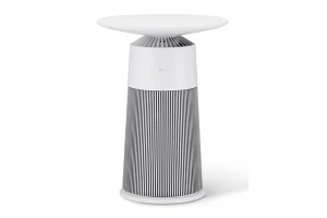 Máy lọc không khí LG PuriCare AS20GPWU0