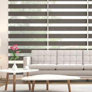 Rèm cửa cầu vồng lựa chọn cho không gian hiện đại