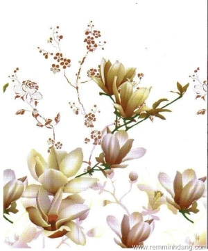 Mành cuốn in tranh 2008