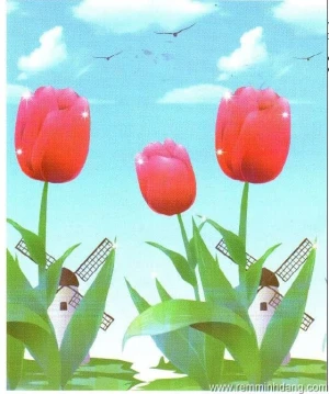 Mành cuốn in tranh 2012