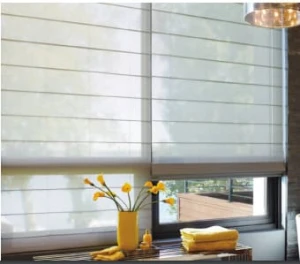 Mành Roman Combi Korea Soltis SO-1301