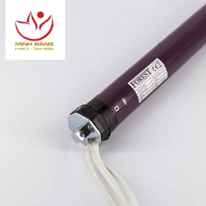 Rèm Cầu Vồng Tự Động Motor FOREST 6/20