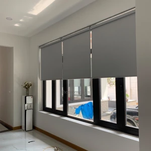 Các mẫu rèm cửa cuốn đẹp chống nắng, cách nhiệt