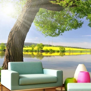 Mành cuốn in tranh phong cảnh giá rẻ tại Bình Thạnh