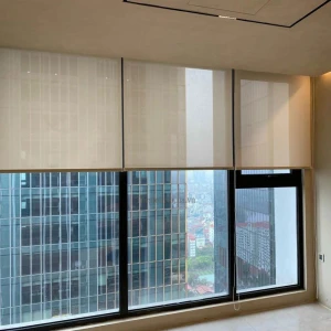 Rèm cuốn lưới chung cư hiện đại cho phòng khách sang trọng