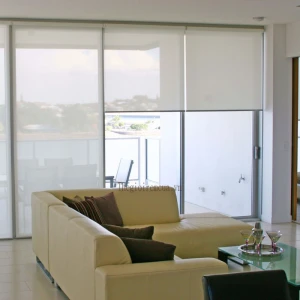 Rèm cuốn vải lưới phòng khách sang trọng
