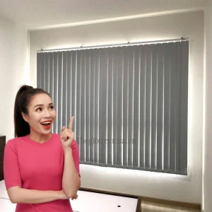 Rèm lá dọc chống nắng văn phòng