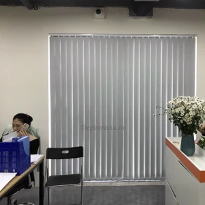Rèm lá dọc giá rẻ hcm, thi công miễn phí