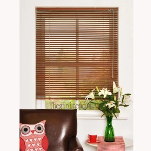 Rèm lá ngang cửa sổ hiện đại cản nắng