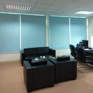 Rèm sáo cuốn văn phòng màu xanh mát dịu