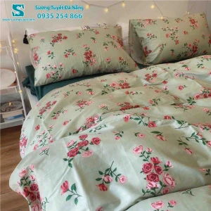 Bộ Chăn Ga Gối Cotton Hàn Quốc Nhập CHQ-027