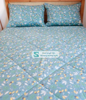 Bộ Chăn Ga Gối Cotton Lụa Modal - CLM 02