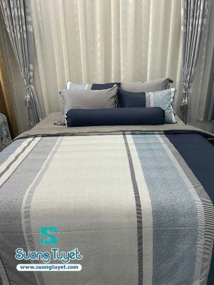 Bộ Chăn Ga Gối Cotton Lụa Modal - CLM 06
