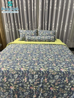 Bộ Chăn Ga Gối Cotton Lụa Modal - CLM 10