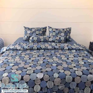 Bộ Chăn Ga Gối Cotton Lụa Modal - CLM 15