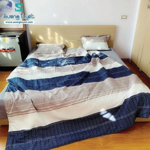 Bộ Chăn Ga Gối Cotton Lụa Modal - CLM 29