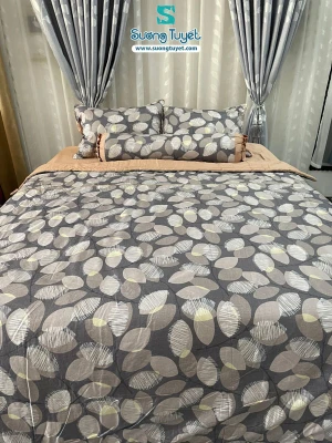 Bộ Chăn Ga Gối Cotton Lụa Modal - CLM 33