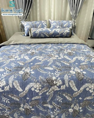 Bộ Chăn Ga Gối Cotton Lụa Modal - CLM 35