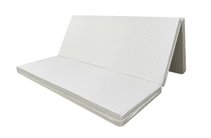 Đệm Bông Ép Everon Thế Hệ Mới JAGD3