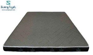 Nệm Cao Su Tổng Hợp Double Win Thành Lưới