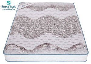 Nệm Lò Xo Kim Cương Túi Cuộn Rolled Pocket 22-23cm