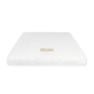 Nệm Vạn Thành Mousse Queen Foam - Vải Gấm