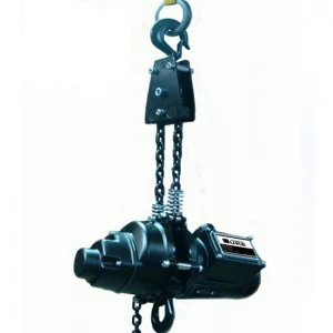 Palang xích điện treo ngược Strong DH-1000