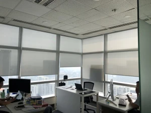 Rèm cuốn lưới văn phòng