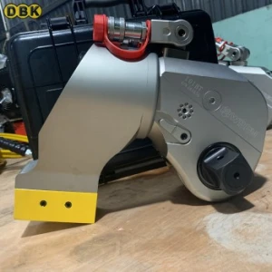 Cờ lê thủy lực dạng chụp WREN 10IBT