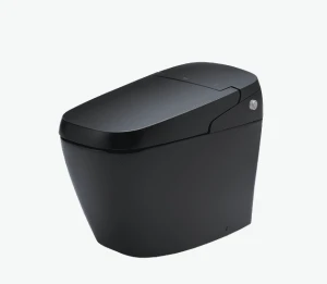 Bồn Cầu Điện Tử INAX AC-G216VN/BKG Đen