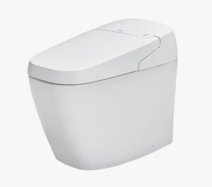 Bồn Cầu Điện Tử INAX AC-G216VN Trắng