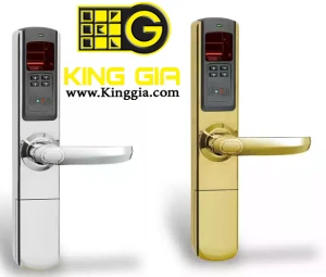 Khóa cửa điện tử ADEL 5500 (4 in 1) chính hãng, giá rẻ