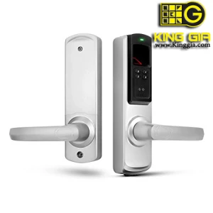 Khóa điện tử ADEL 5600 (3 in 1)