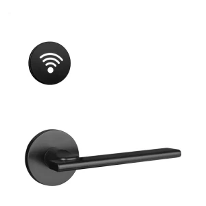 Khóa điện tử LS-8209