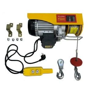 Tời điện mini Fujifa PA300/600 cáp đôi 10m 220V