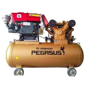 Máy Nén Khí Đầu Nổ Chạy Dầu Pegasus 10HP TM-W-1.0/8-500L