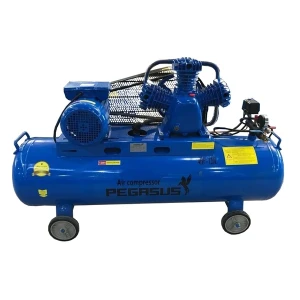 Máy Nén Khí Dây Đai Pegasus 4HP TM-W-0.36/8-120L