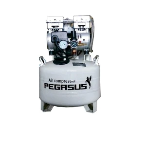 Máy Nén Khí Không Dầu Pegasus 1HP TM-OF750-40L