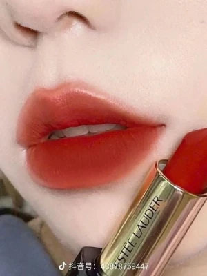 Son Estée Lauder Matte 569 Fearless