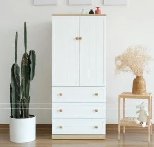 Tủ để đồ bằng gỗ đơn giản đẹp GHS-52260