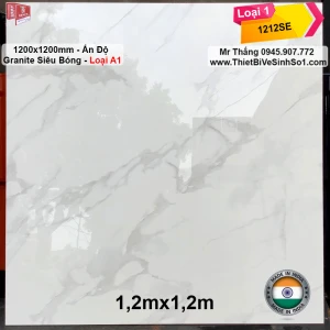 Gạch 1200x1200 Ấn Độ 1212SE