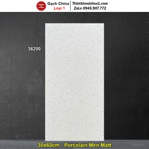Gạch 30x60 Trung Quốc 36200 Terrazzo