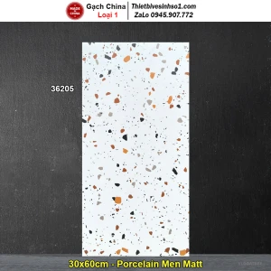 Gạch 30x60 Trung Quốc 36205 Terrazzo