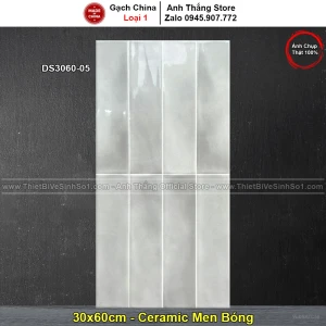 Gạch 30x60 Trung Quốc DS3060-05