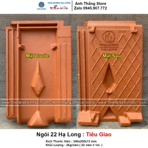 Ngói 22 Hạ Long Tiêu Giao