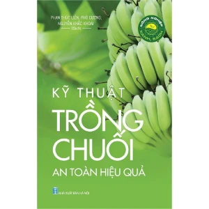 Nông Nghiệp Xanh Sạch - Kỹ Thuật Trồng Chuối An Toàn Và Hiệu Quả