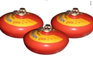 Bình chữa cháy tự động XZFTB6 BC 6KG BC